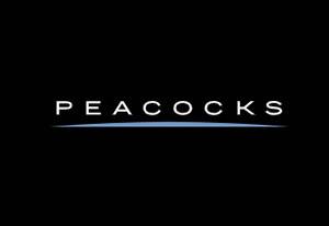 Peacocks 英国家庭时尚品牌网站