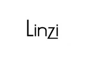 Linzi Shoes SA 沙特慈善女鞋品牌购物网站