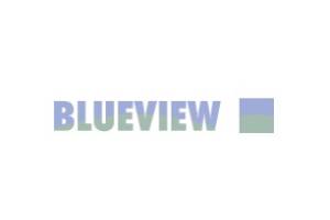 Blueview Footwear 美国环保鞋履品牌购物网站