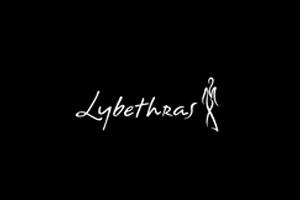 LYBETHRAS Swimwear 美国女性泳装品牌购物网站