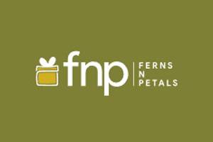 FNP.com 印度顶级礼品品牌购物网站
