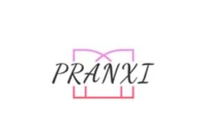 Pranxi 美国性感内衣品牌购物网站