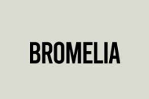 Bromelia Swimwear 美国时尚泳装品牌购物网站