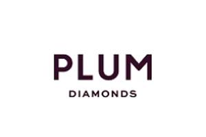 Plum Diamonds 美国奢华婚礼珠宝品牌购物网站