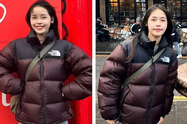 The North Face 55折，‮红棕‬色1996 Retro Nuptse 羽绒夹克