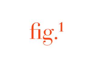 Fig.1 Beauty 美国高性能护肤品牌购物网站