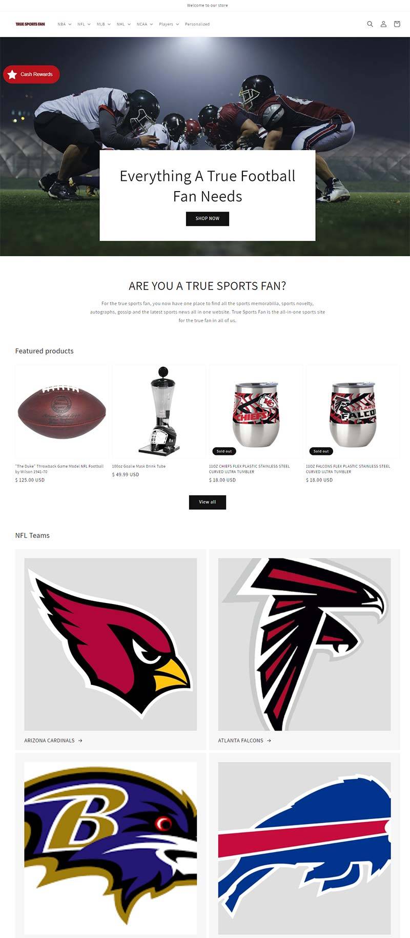True Sports Fan Shop 美国体育用品购物网站