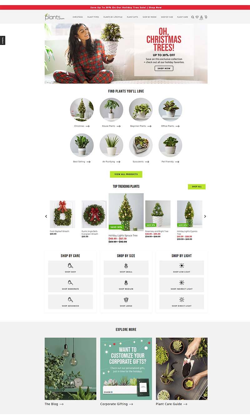 Plants 美国室内盆栽购物网站