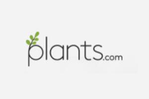 Plants 美国室内盆栽购物网站