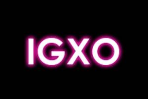 IGXO Cosmetics 美国高级彩妆品牌购物网站