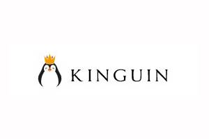 Kinguin 美国数字游戏交易网站