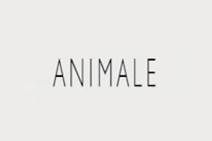 Animale 巴西时装品牌购物网站