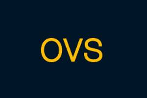 OVS 意大利高端时装品牌购物网站