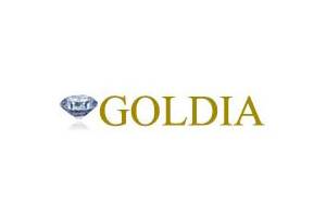 Goldia 美国互联网珠宝品牌购物网站