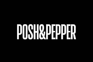 POSH&PEPPER 美国设计师原创珠宝购物网站