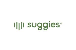 Suggies 美国功能性平底女鞋购物网站