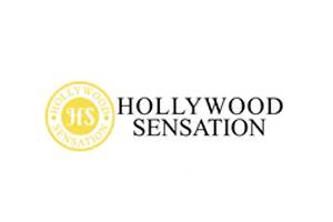 Hollywood Sensation 美国珠宝项链饰品购物网站