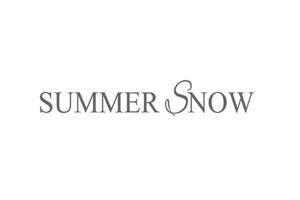 Summer Snow Art 美国手工插画装饰品购物网站