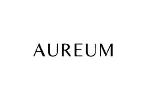Aureum Collective 美国奢华珠宝饰品购物网站