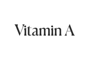 Vitamin A 美国时尚比基尼泳装购物网站
