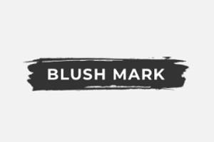 Blush Mark 美国平价时尚女装购物网站