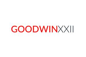 GOODWINXXII 美国时尚包袋配饰品牌购物网站