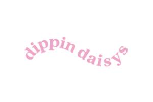 Dippin' Daisy's 美国轻奢泳装品牌购物网站