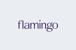 Shop Flamingo 美国女性毛发护理设备购物网站