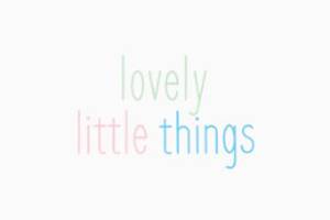 Lovely Little Things Boutique 美国童装礼品购物网站