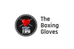 The Boxing Gloves 英国拳击手套专营网站